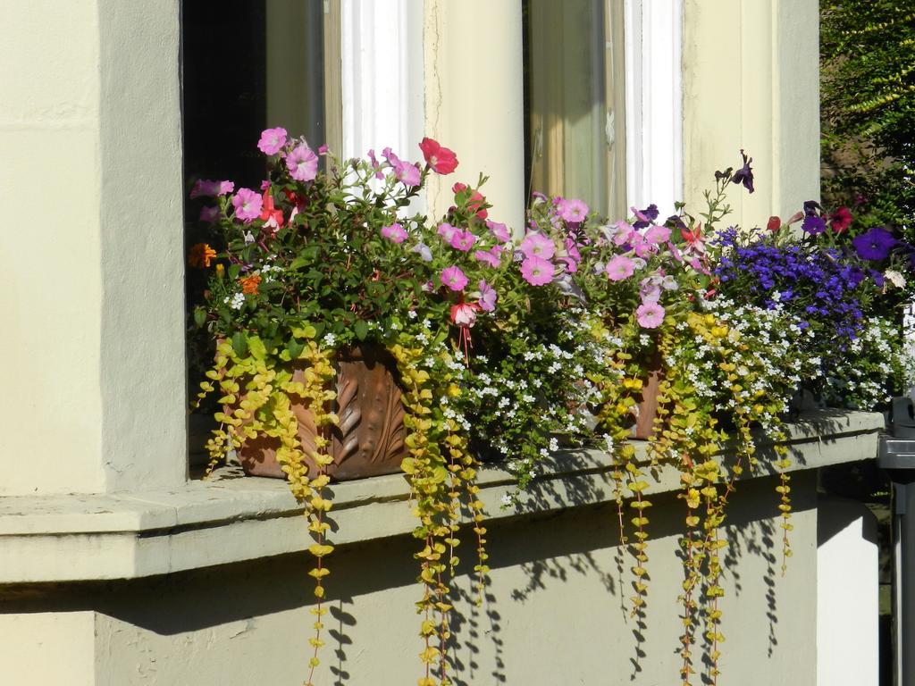 Balmoral Guesthouse Edinburgh Ngoại thất bức ảnh